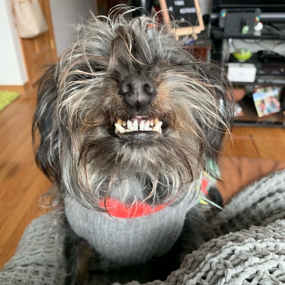 Meet your Posher, Kakaylan - Picture 1 of 1